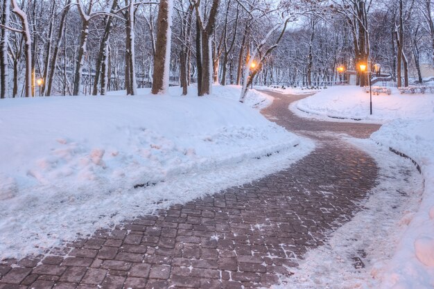 Belo parque com uma trilha na neve