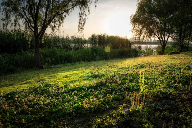 Belo parque da cidade com lago árvores e montanhas