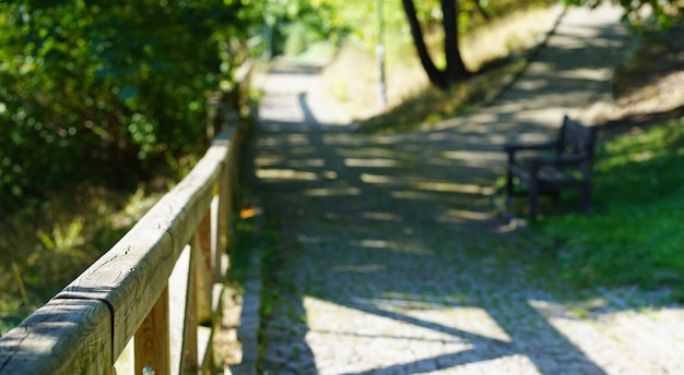 Belo parque da cidade Início do outono na cidade Árvores e bancos para descansar no parque