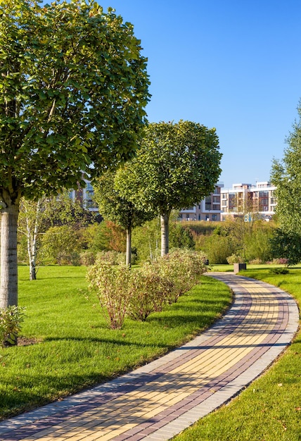 Belo parque natural público em uma cidade moderna