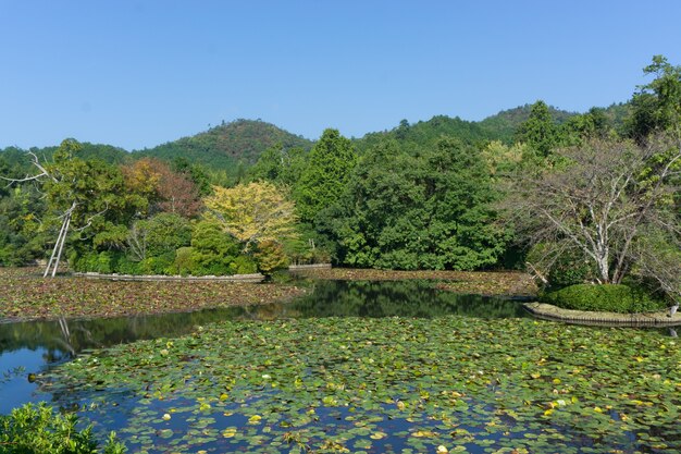 Belo parque no Japão