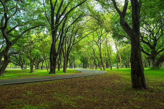 belo parque verde