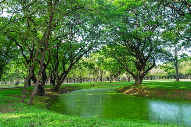 belo parque verde