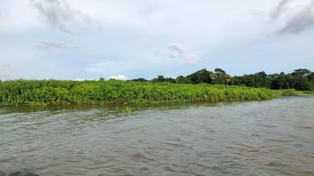 Belo passeio de barco pelo rio