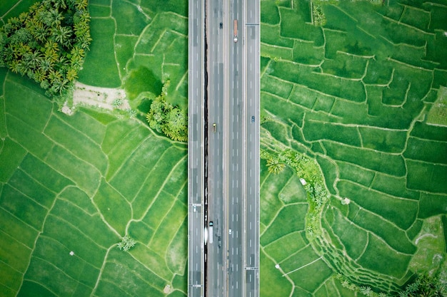 Belo pedágio elevado cercado por campos de arroz