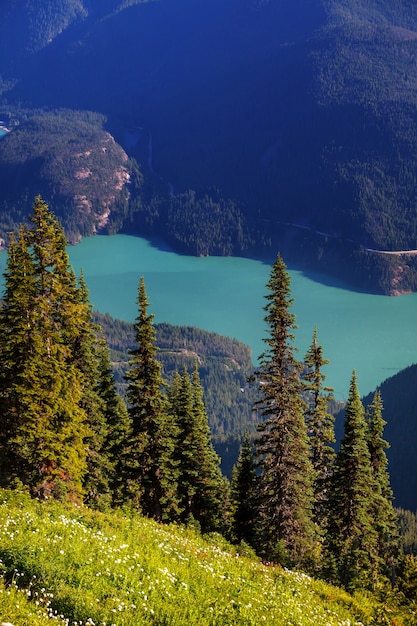 Belo pico de montanha em North Cascade Range, Washington, EUA