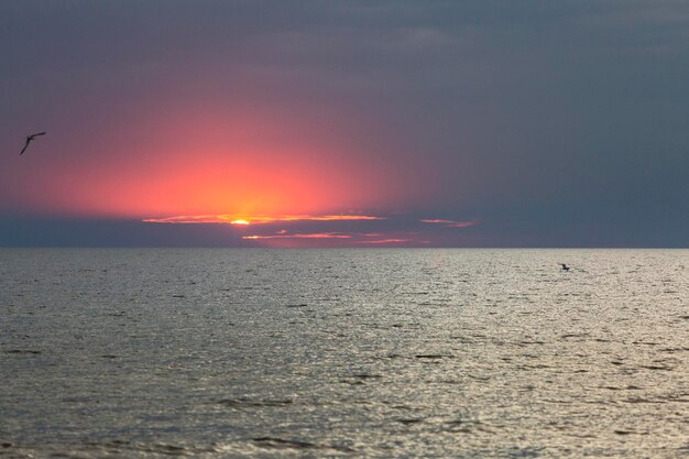 Belo pôr do sol colorido sobre o mar Negro com grandes ondas escuras Kinburn Foreland Ucrânia