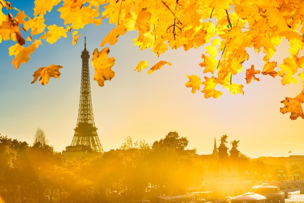 Belo pôr do sol com a Torre Eiffel e o rio Sena em Paris com folhas de outono laranja caindo Paris França
