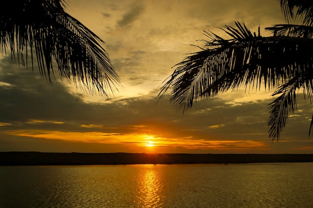 Belo pôr do sol com lago e silhueta de palmeiras