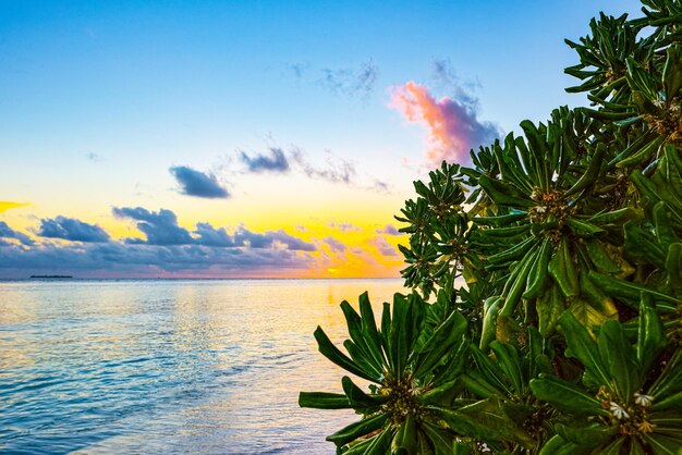 Belo pôr do sol da noite na costa da ilha Maldivas