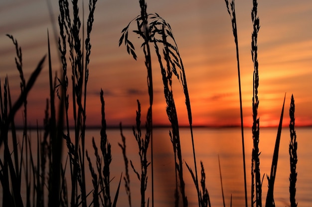 Belo pôr do sol na margem do rio Volga em Zavolzhie