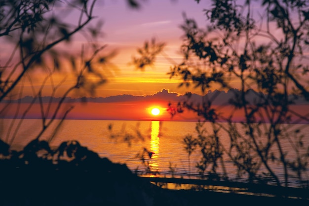 Belo pôr do sol na praia com arbustos