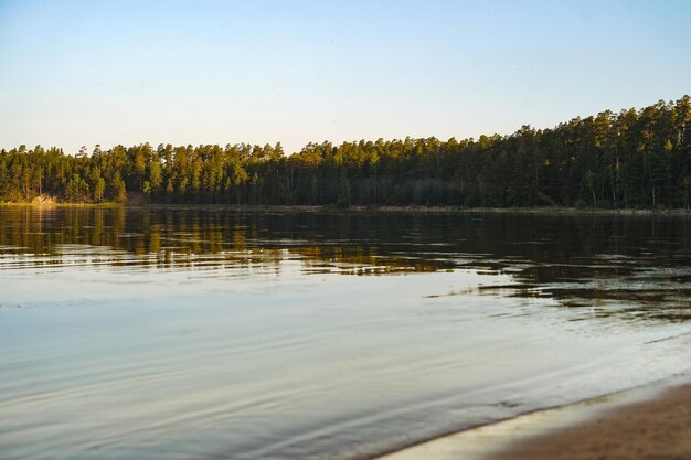 Belo pôr do sol no lago Ladoga, praia de areia e céu azul, floresta de pinheiros no fundo, natureza da Carélia