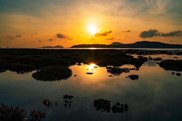 Belo pôr do sol ou paisagem do nascer do sol incrível nuvem à luz do nascer do sol acima do recife de coral no mar de Rawai Phuket Corais severos da maré baixa crescendo em águas rasasStaghorn coral