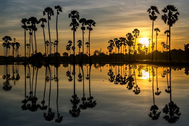 Belo pôr do sol reflexo de silhuetas palmeira