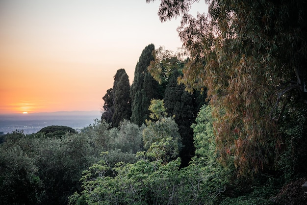 Belo pôr do sol sobre olival na paisagem montanhosa da itália