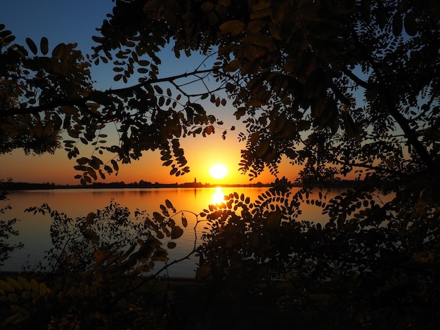 Belo raio de sol através de galhos de árvores belo pôr do sol um sol amarelo e laranja brilhante