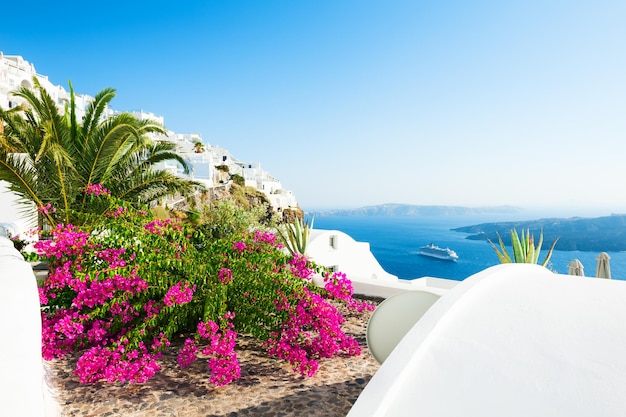 Belo terraço com flores cor de rosa na ilha de Santorini, Grécia