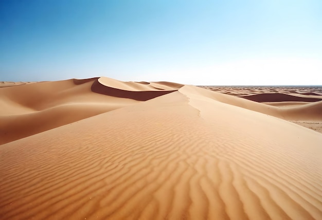 belo tiro de areia do deserto com arbustos céu claro