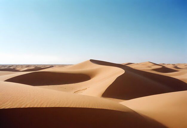 belo tiro de areia do deserto com arbustos céu claro