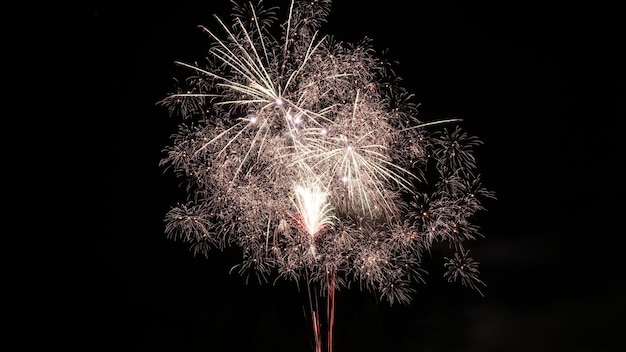 Belo tiro de fogos de artifício