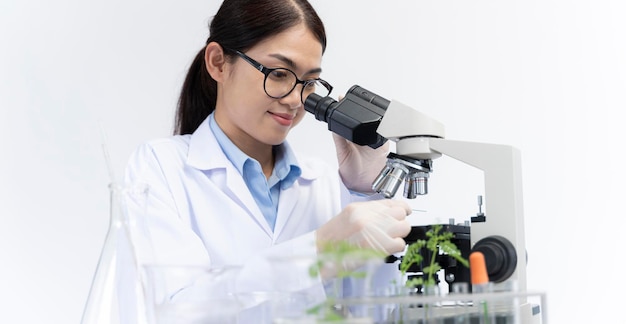 Belo trabalho de cientista pesquisando em laboratório químico Ciência e conceito saudável ou médico