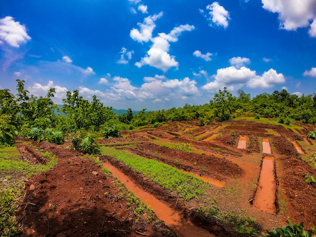 Belos campos agrícolas