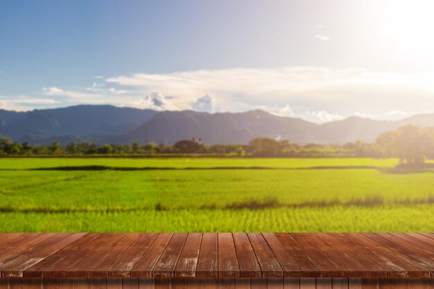 Belos campos com céu e montanhasxa