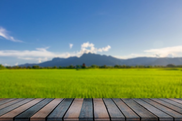 Belos campos com céu e montanhasxA