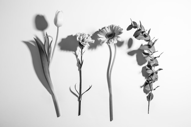 Belos desenhos minimalistas em preto e branco