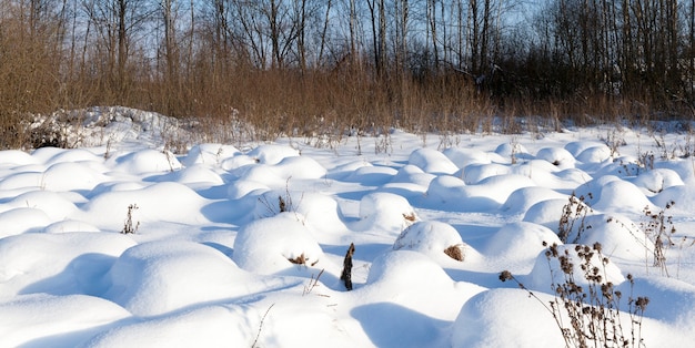 Belos fenômenos naturais da temporada de inverno, cobertos por uma espessa camada de neve após um ciclone com tempestades e nevascas