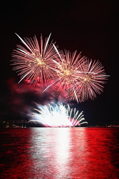 Belos fogos de artifício coloridos sobre a água Competição internacional de fogos de artifício Brno República Checa