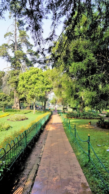 Belos jardins botânicos do governo em Ooty Tamilnadu Índia Lugar cênico para a família