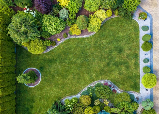Belos jardins residenciais maduros vista aérea