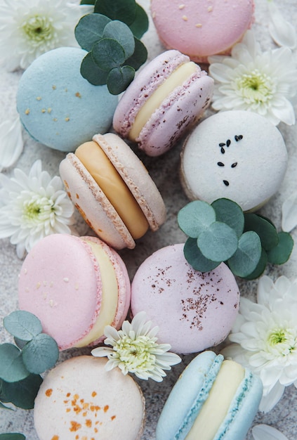 Belos macaroons saborosos coloridos, flores brancas e eucalipto em um fundo cinza de concreto