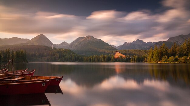 Foto belos papéis de parede 4k com fundo de natureza imagem em hd