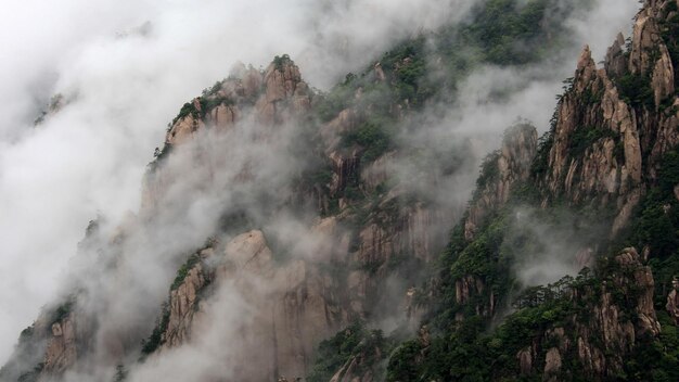 Foto belos papéis de parede 4k com fundo de natureza imagem hd