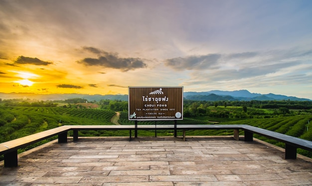 Foto belos pôr-do-sol na plantação de chá chui fong esta é uma atração turística popular em chiang rai