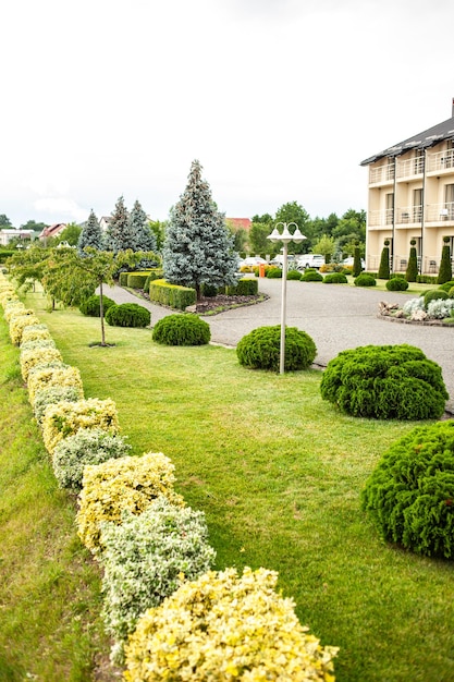 Belos projetos de paisagem de quintal com arbustos e plantas decoradas