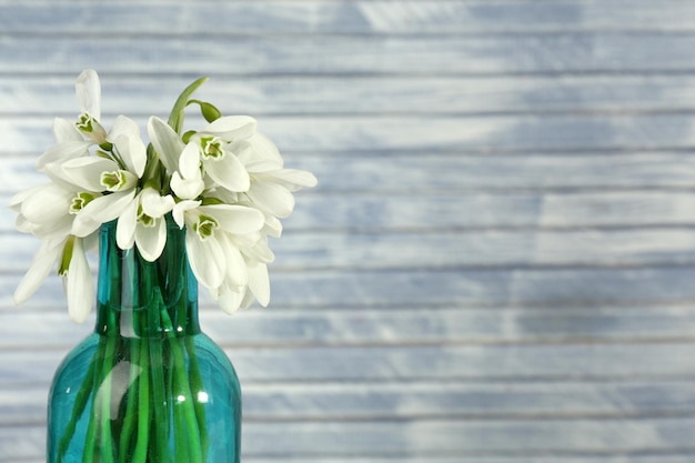 Belos snowdrops em garrafa em fundo de madeira