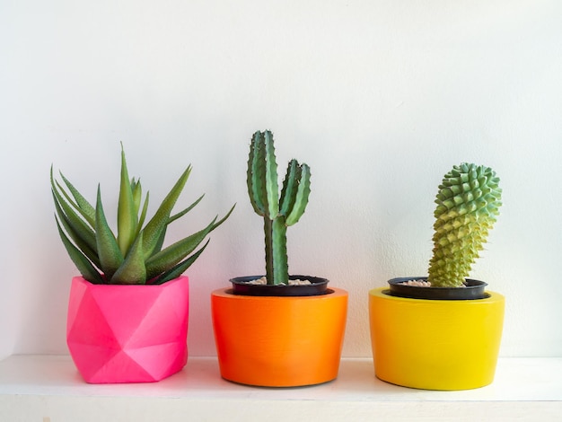 Belos vários plantadores de concreto geométricos com flor de cacto e planta suculenta Vasos de concreto pintados coloridos para decoração de casa