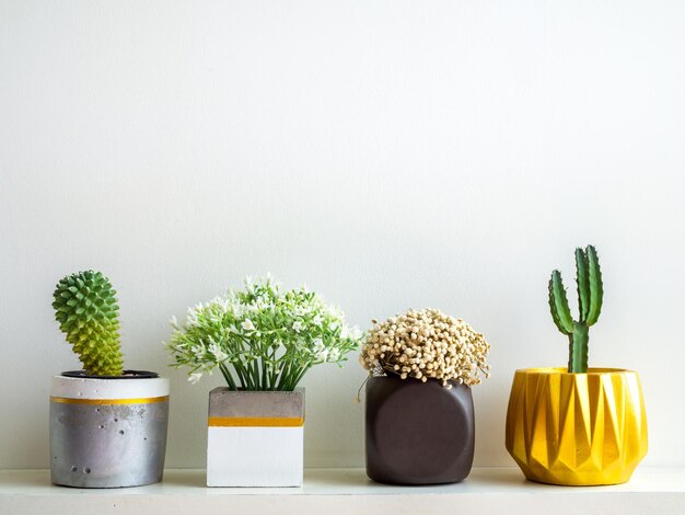 Belos vários plantadores de concreto geométricos com flores de cacto e plantas suculentas Vasos de concreto pintados para decoração de casa