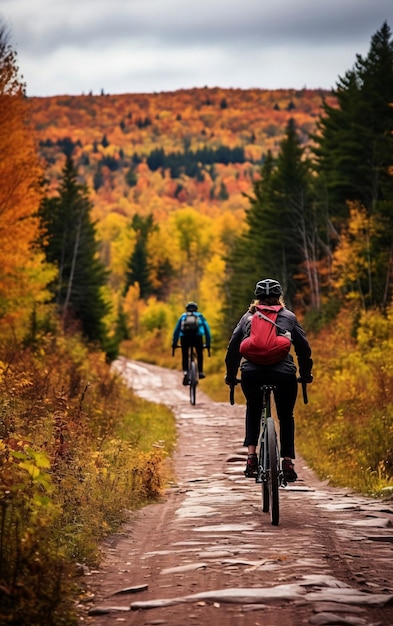 Bem-estar e atividade desportiva no outono Dois ciclistas a andar por uma estrada florestal de outono