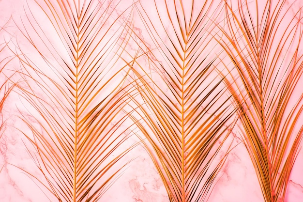 Bemalte orangefarbene Dattelpalmenblätter auf hellrotem Marmorhintergrund. Sommer, tropisches, exotisches Konzept. Ansicht von oben, flach liegend.