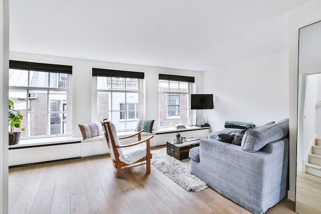 Bequemes Sofa und Sessel auf weichem Teppich in der Nähe von Fenstern in einem gemütlichen, hellen Wohnzimmer in einer modernen Wohnung