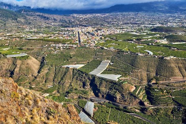 Über der Landschaftsansicht des wachsenden Bananenplantagenfeldes in Los Llanos, La Palma, Spanien