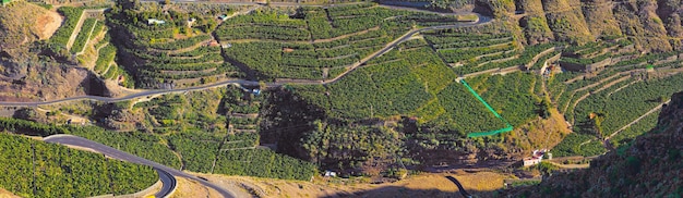 Über einer landwirtschaftlichen Landschaft im Sommer Luftaufnahme eines Bauernhofs mit üppig grünem Gras und Bananenplantagen in Los Llanos La Palma Spanien Friedliches Ackerland mit beruhigender, beruhigender Aussicht