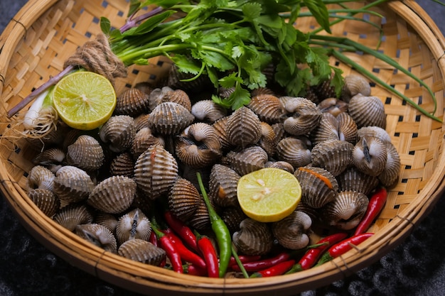 Berberechos frescos de mariscos