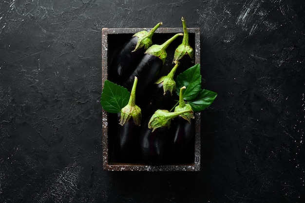 Berenjena fresca sobre fondo negro Verduras Vista superior Espacio de copia libre
