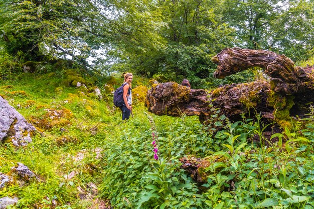 Berg Aizkorri, Guipuzcoa. Junge blonde kaukasische Frau, die unter der Flora geht